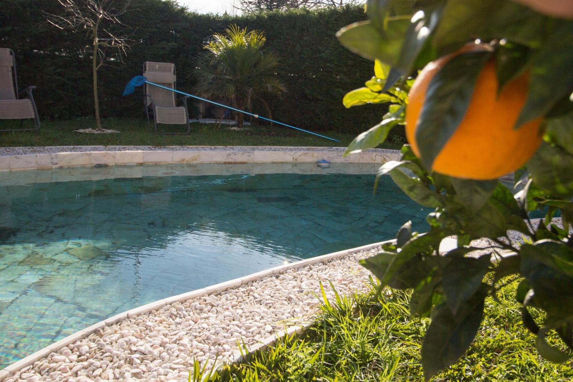 Guest H4U - Villa Garden & Pool Póvoa de Varzim Extérieur photo